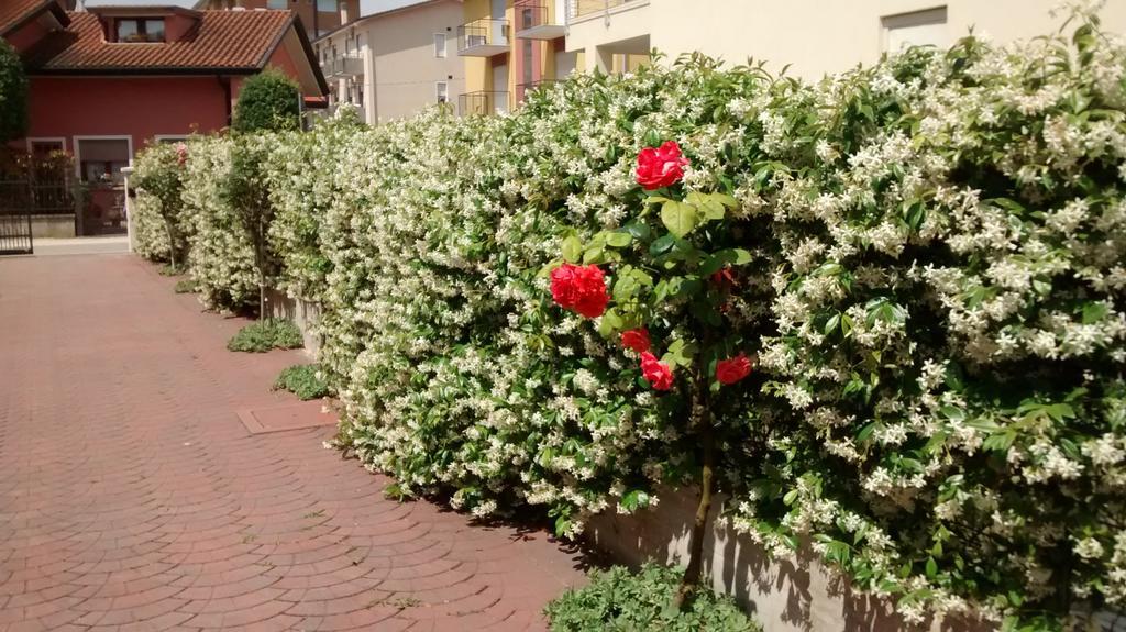 Appartamenti Bedin, Jesolo Buitenkant foto